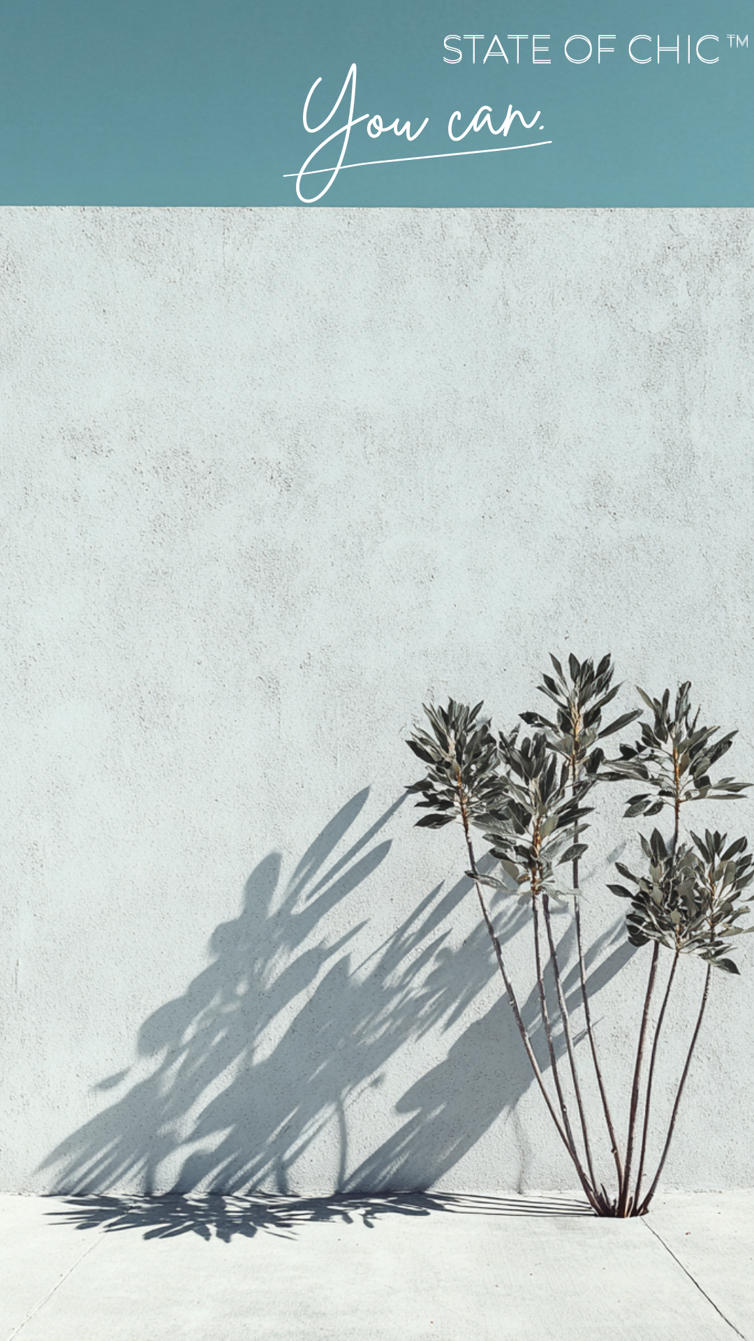 The Chic Affirmations Collection